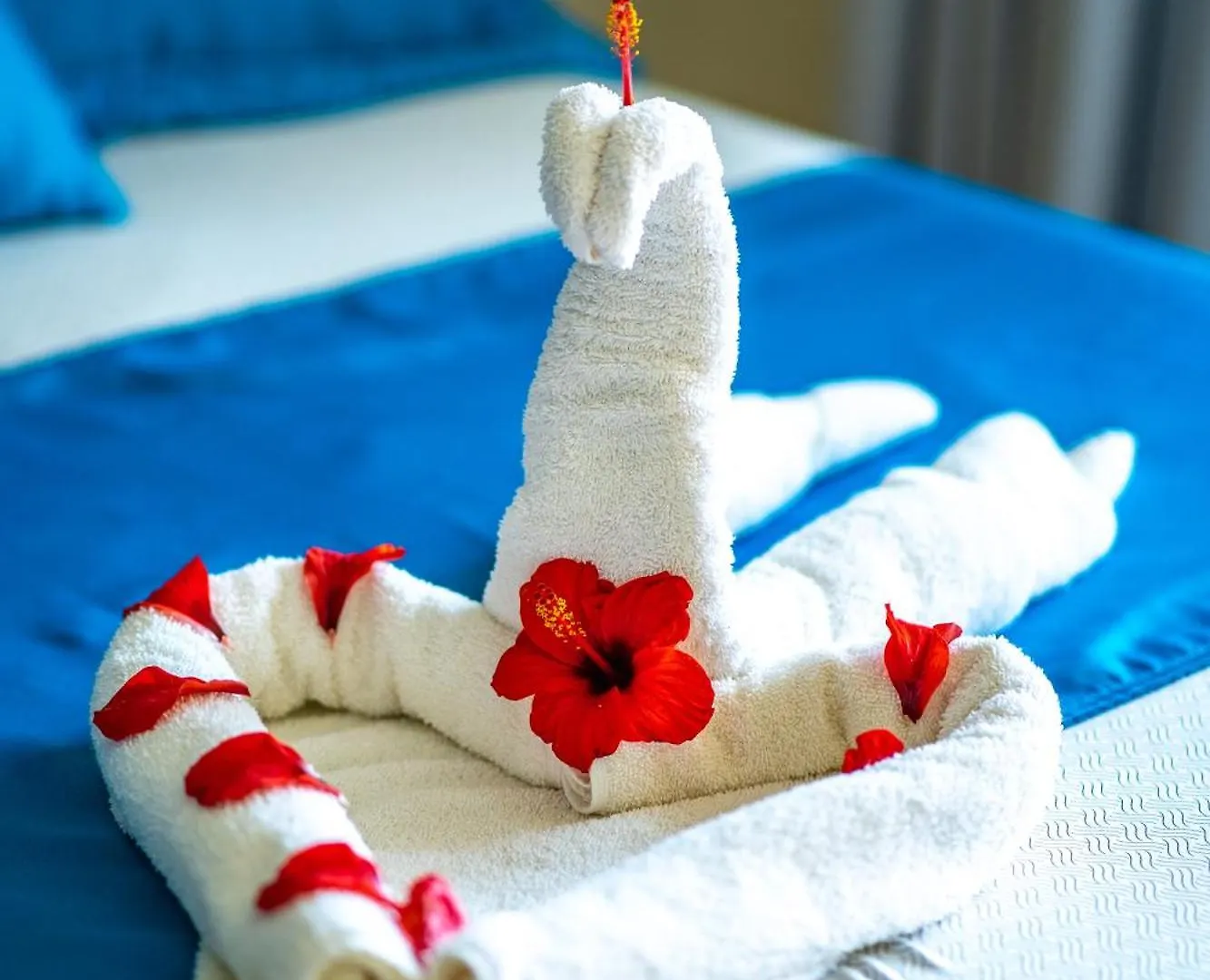 Agualina Kite Hotel Oceanfront Apartments Cabarete 0*,  Repubblica Dominicana